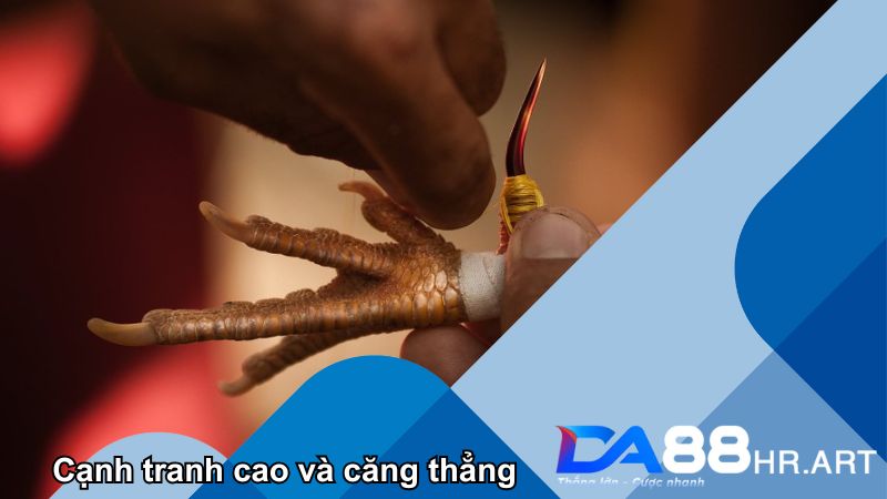 Từng giây phút căng thẳng đến nghẹt thở trong trận đấu lôi cuốn